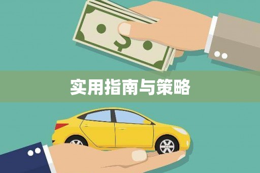 普格实用指南与策略