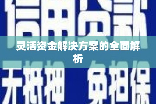 普格灵活资金解决方案的全面解析
