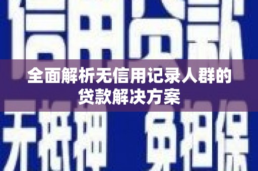 普格全面解析无信用记录人群的贷款解决方案