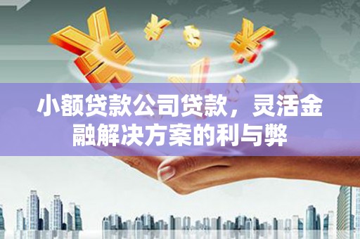 普格小额贷款公司贷款，灵活金融解决方案的利与弊